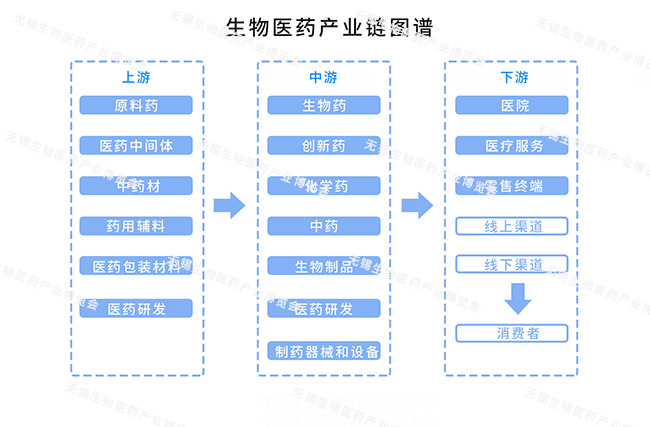 探索生物医药产业链 领军企业助力医学进步