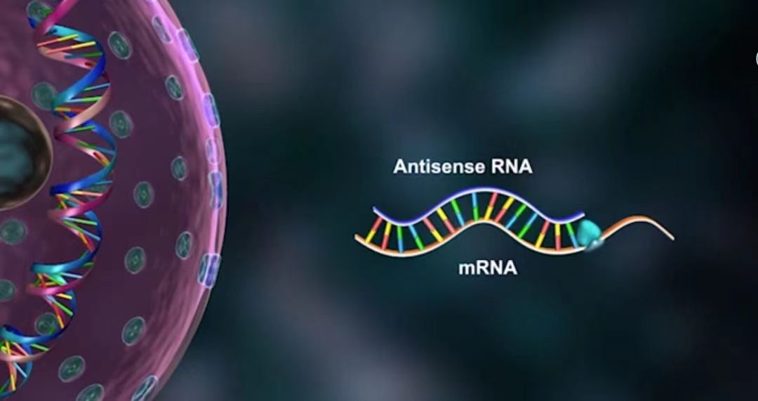 基因治疗：用于 RNA 治疗的药物递送系统